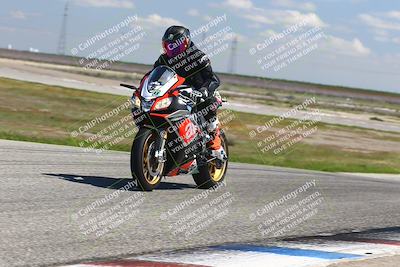 media/Mar-23-2025-TrackDaz (Sun) [[88a7749186]]/B Group/1220pm (Wheelie Bump)/